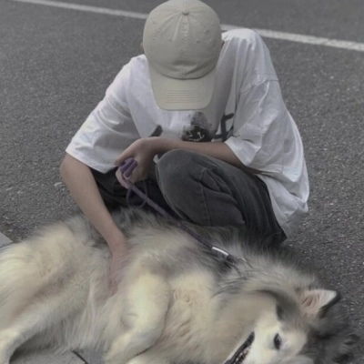  带动物暖心头像酷部位男生猫狗兔兔