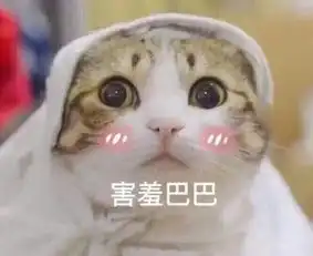 一只白猫旁边一个问号的