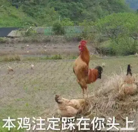  坐拥55个超豪华桌游商标,售价低至2.5折,中国最强桌游公司诞生