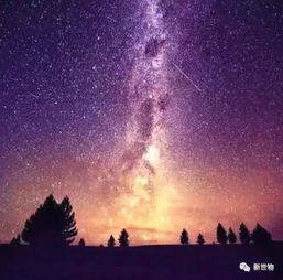  你还心殇吗走吧走吧带你去治愈啦