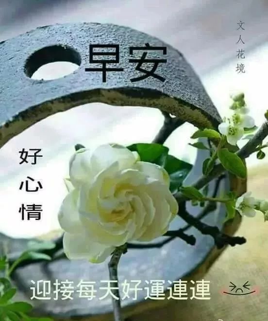  9月16日星期一群发早上好问候祝福动态表情图片最美早晨好问候表情动态图片