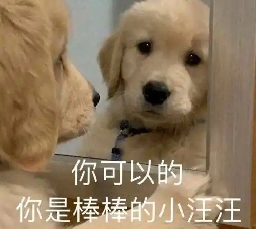  讲给娃听的睡前冷知识,第二弹