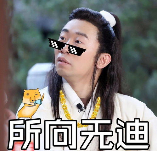 宋小宝表情包范丞丞