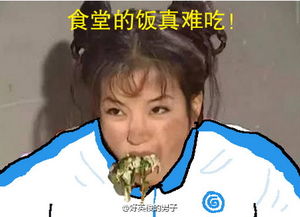  笑哭还珠格格校服版神p图走红小燕子紫薇秒变表情包