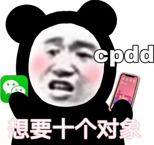  超有趣cpdd文案,分配对象啦