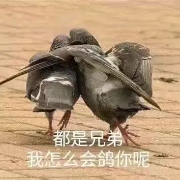  更新公告赶上二月末班车,全新冈爆明天上线