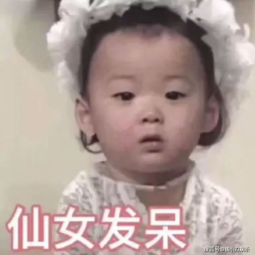 洞主表情包表情包