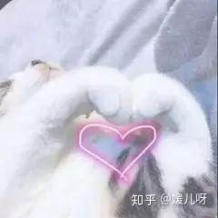  你信不信,其实你早已被pua过