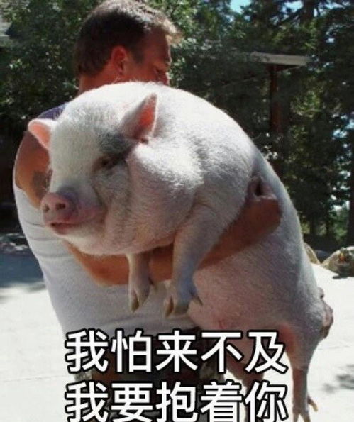  搞笑段子学会这三句就能和北京出租车师傅聊半个小时