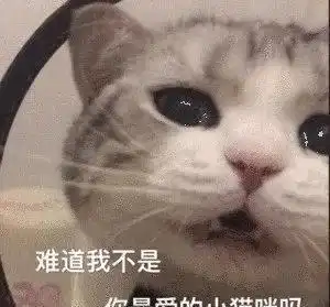  和异性聊天总是尬聊哈哈哈哈网友分享经历太真实了...