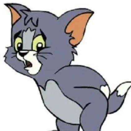  动画猫和老鼠的编年史