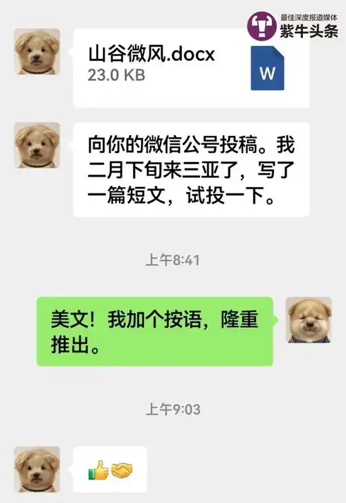  莫言余华微信头像火了,创作同款表情包的00后女孩是位治愈系插画师