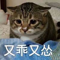  又乖又怂表情包微信头像图片大全