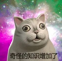  2020上半年热词总结