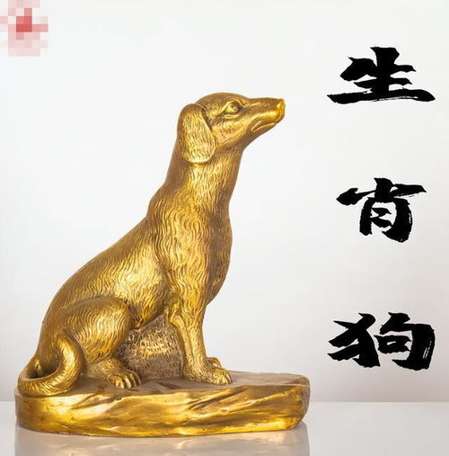  生肖狗时来运转,你马上要走大运了,你期待的事情都要成了