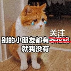  如果地球上猫咪狗狗突然觉醒,绝地武士重出江湖,人类准备好了吗