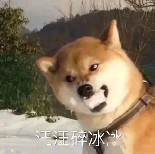  让老公帮点忙有多难,求问现在换人还来得及吗,哈哈哈哈太好笑了