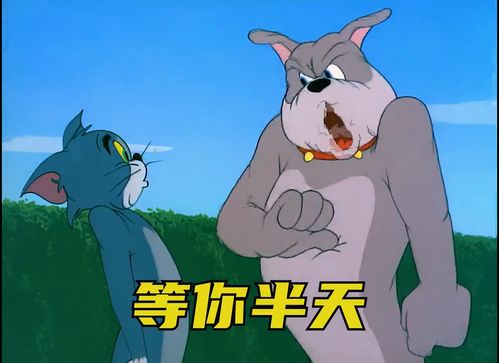  不许回恩哦猫和老鼠艾特你想艾特的人表情包