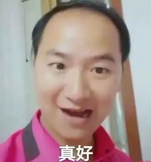 华农兄弟表情包中暑洪世
