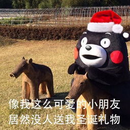  熊本熊要圣诞礼物表情包有人给我买圣诞礼物吗