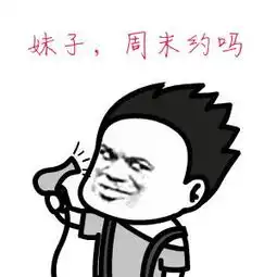 吹头发表情包