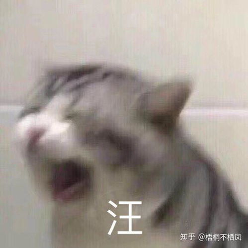  对于闷骚型的男生怎么撩
