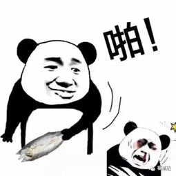  号称3亿人都在用的拼多多摊上事了......