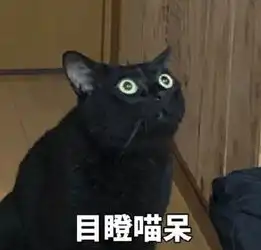  据说,这是猫界一个全新的物种