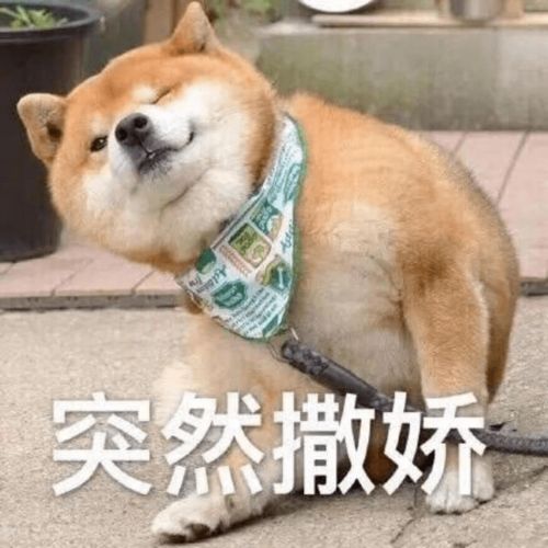  材难相遇梦筑建大我们在团总支等着你