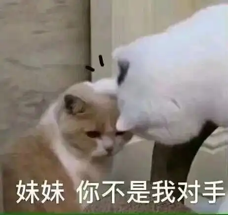  表情包图片要饭摸摸头,我知道错了,我们就默默看着你装