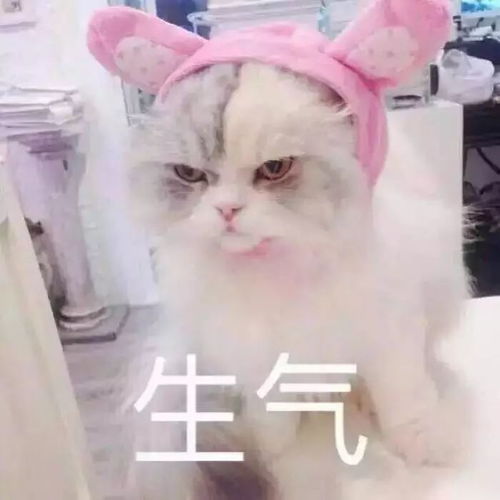  男人进厨房,脊背后发凉哈哈哈哈哈哈哈哈