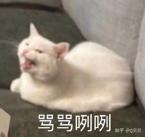 非常愤怒表情包笑cry