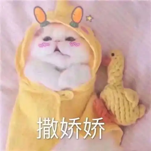  有哪些适合在撒娇时使用的表情包