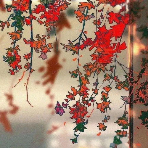 自然枫叶头像图片大全经