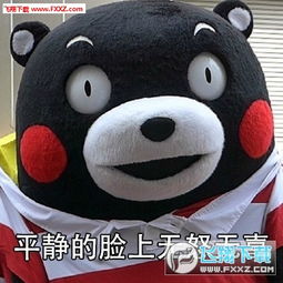  忙起来就不系类表情图片忙是治疗一切神经病的良药表情包下载飞翔下载