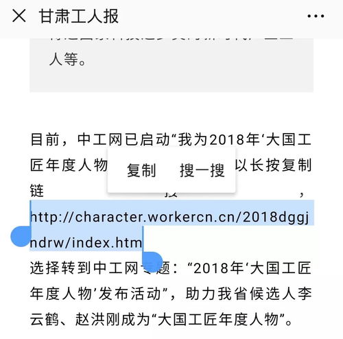  我省两名优秀匠人李云鹤赵洪刚光荣入围2018年大国工匠年度人物候选名单