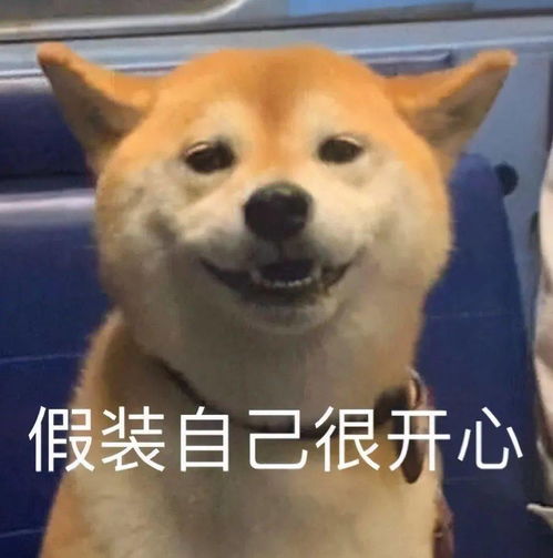  聊天小表情包