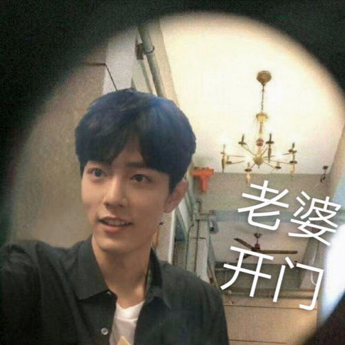  盘点肖战那些可爱表情包