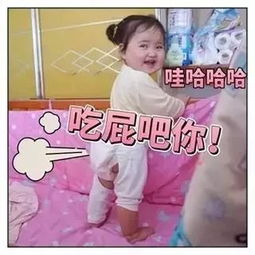 必备最火仙女必备表情包小刚几你居然还不知道附全套表情包下载