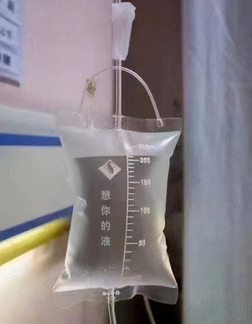  王思聪与孙一宁的爱恨情仇