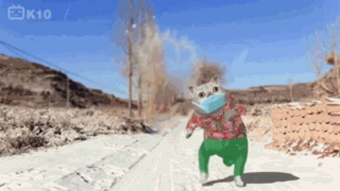  你知道mur猫吗