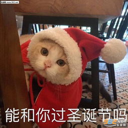  今夜我就是你的圣诞礼物表情包给你捂捂手表情包图片下载乐游网游戏下载