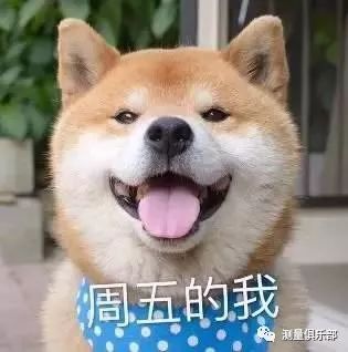  一周七天测量狗表情包