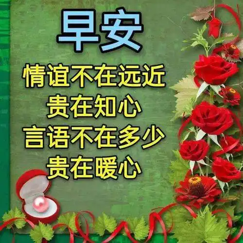 早早上好表情包一夜新娘