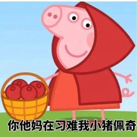  致喷子你不是说话直也不是情商低,你就是脑子有问题
