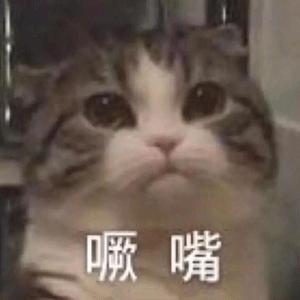  搞笑猫猫表情包第七弹