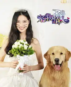  ro3宠物情人美女玩家带宠物出嫁