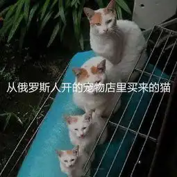  李姐笑话你总把我的照片放在手包里,你真这么爱我吗