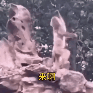  沙雕表情包睡不着想谈恋爱