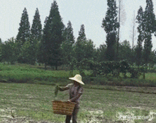 我不活了表情包gif活着